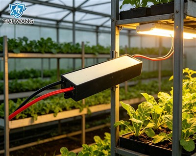 Tarıma Yönelik Yüksek Gerilim Elektrostatik Jeneratör: Sera ve Bitki Korumaya...