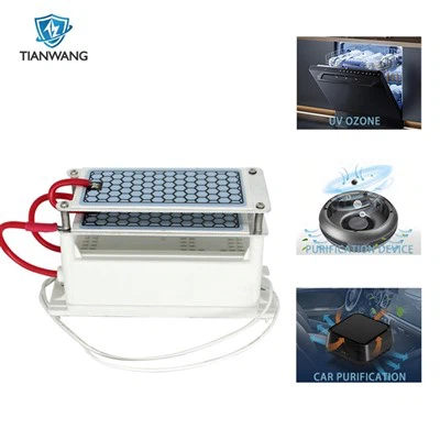 Araba Ozonizer için 10g Ozon Jeneratörü